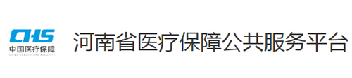 河南省医疗保障公共服务平台